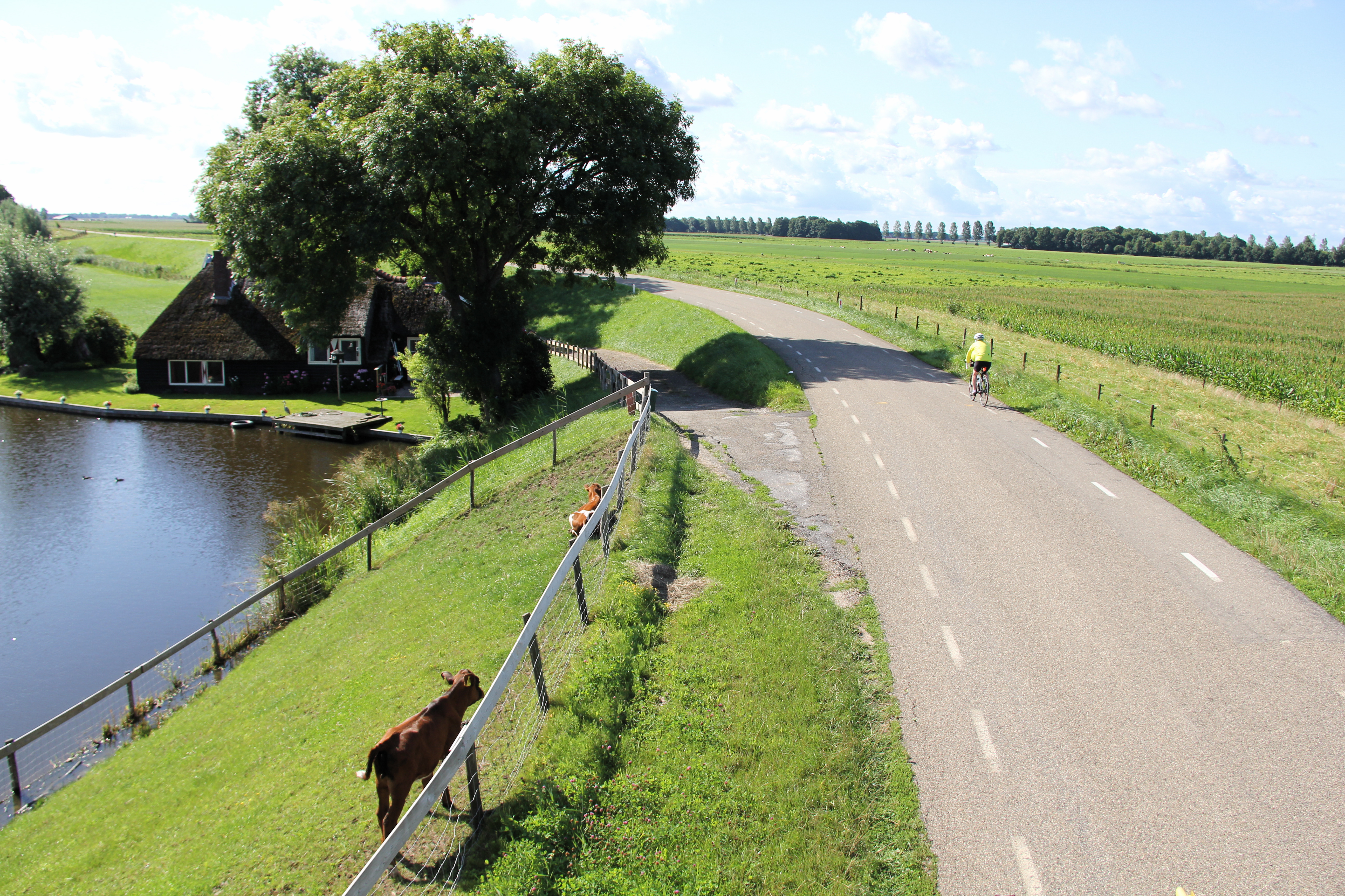 tourhub | Active Adventures | Netherlands Biking Adventure 