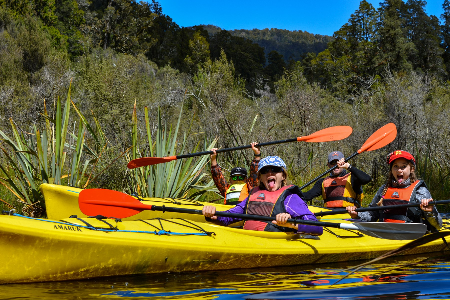 Exploring Family-Friendly Tours in New Zealand: A Detailed Guide