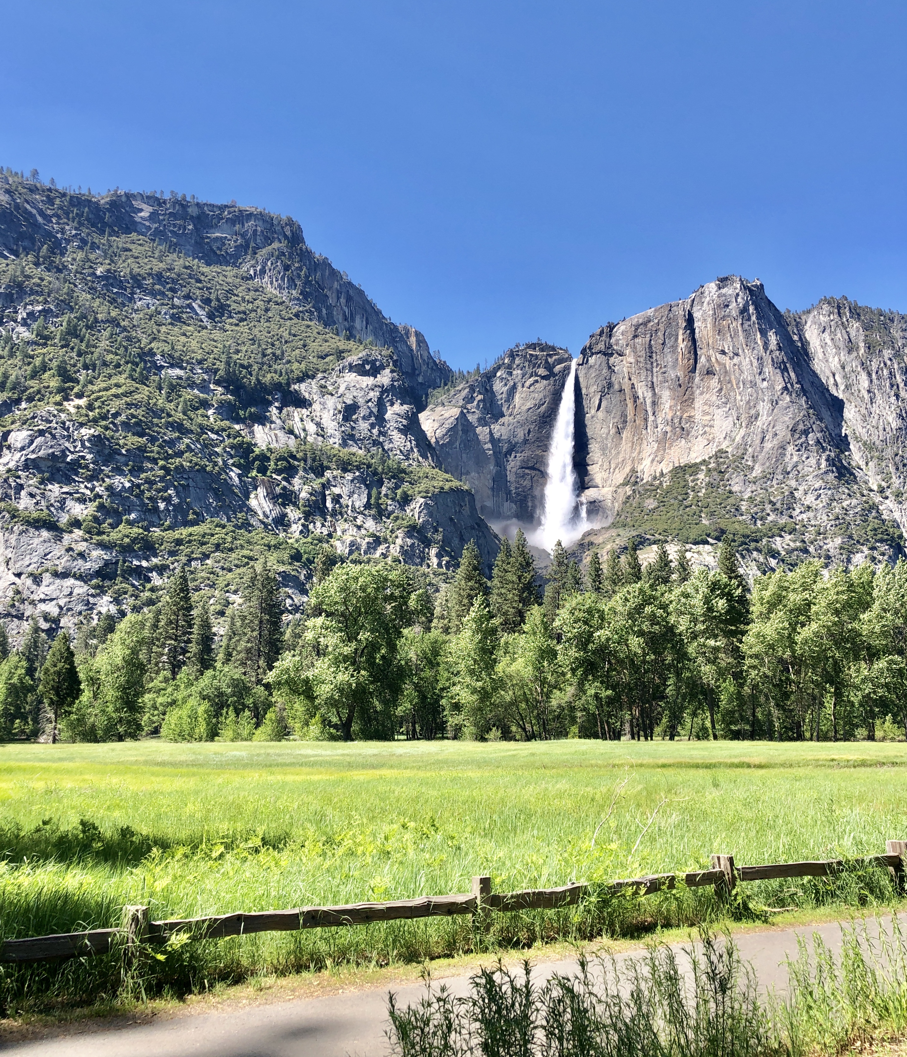 tourhub | Active Adventures | Yosemite Family Vacation 