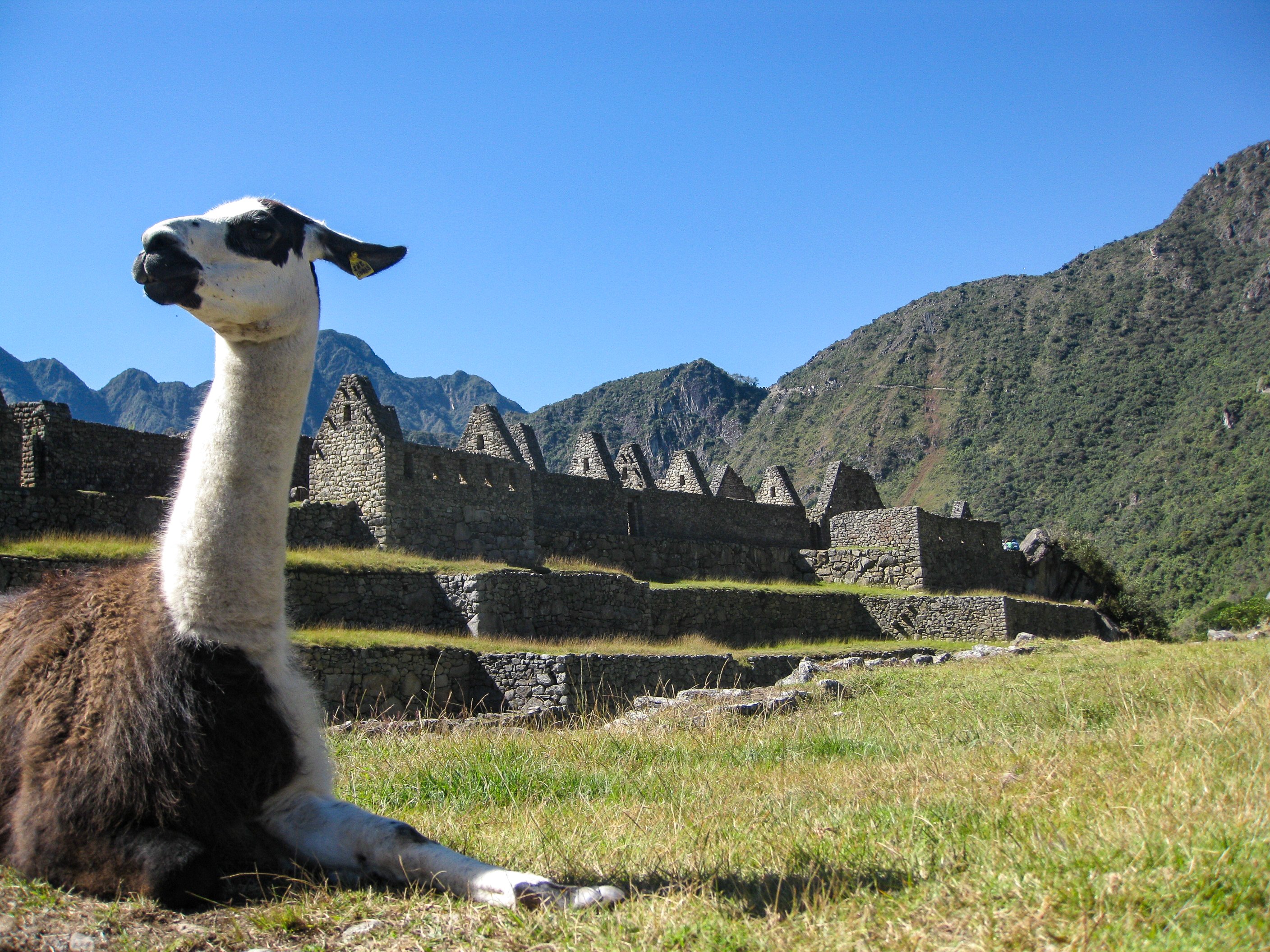 tourhub | Active Adventures | Classic Machu Picchu Adventure | ClasPeru