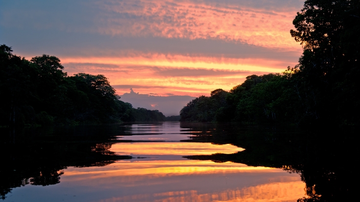 Pacaaya Samria National Reserve Peru in Amazon Rainforest