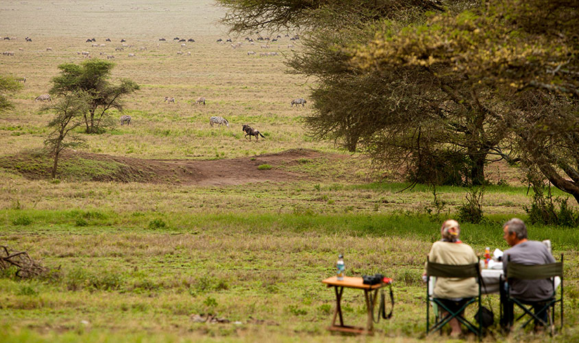 Kogatende camp Tanzania wildlife