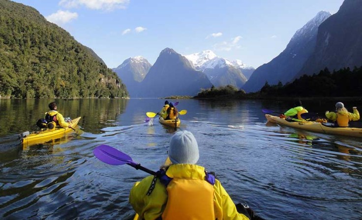 kayak tour milford sound