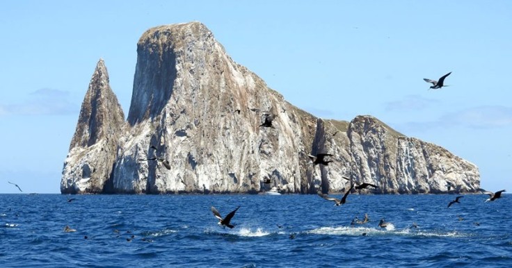 The Rock Galapagos