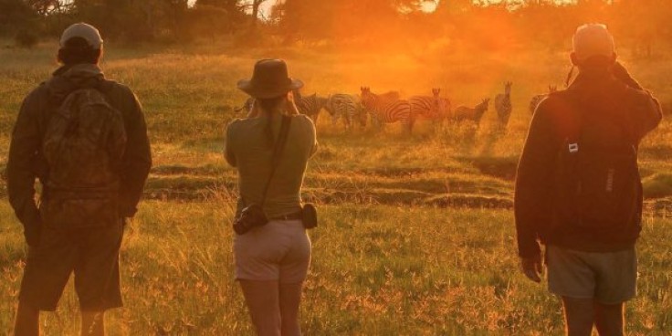 Walking-through-the-African-wilderness.jpg