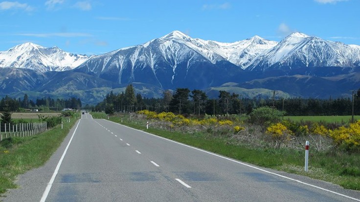 Christchurch Nz