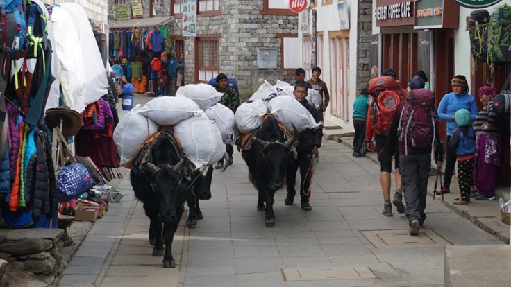 culture-nepal.jpg