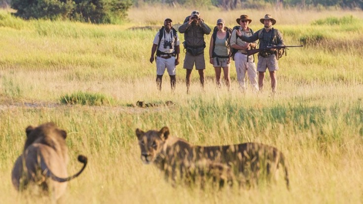 Everything you need to know to pick an African Safari | Active Adventures