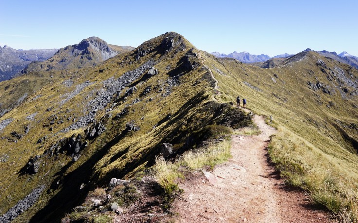 Kepler track clearance one day