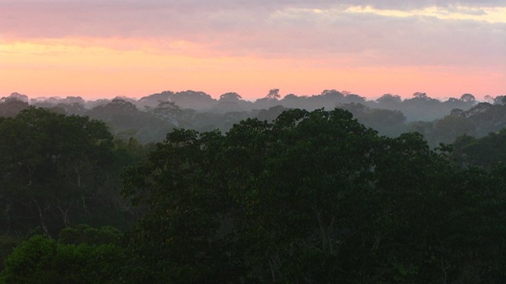 the-Peruvian-Amazon.jpg