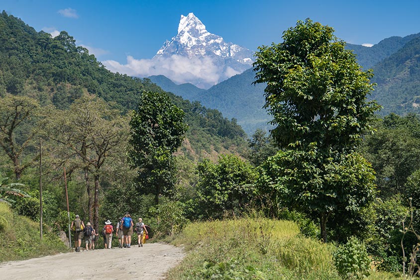 Annapurna Sanctuary Trek with Active Adventures