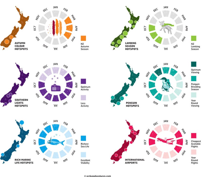 best time to visit NZ infographic