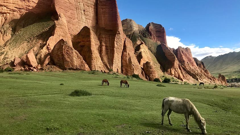 horses grazing next to red cliffs of mustang