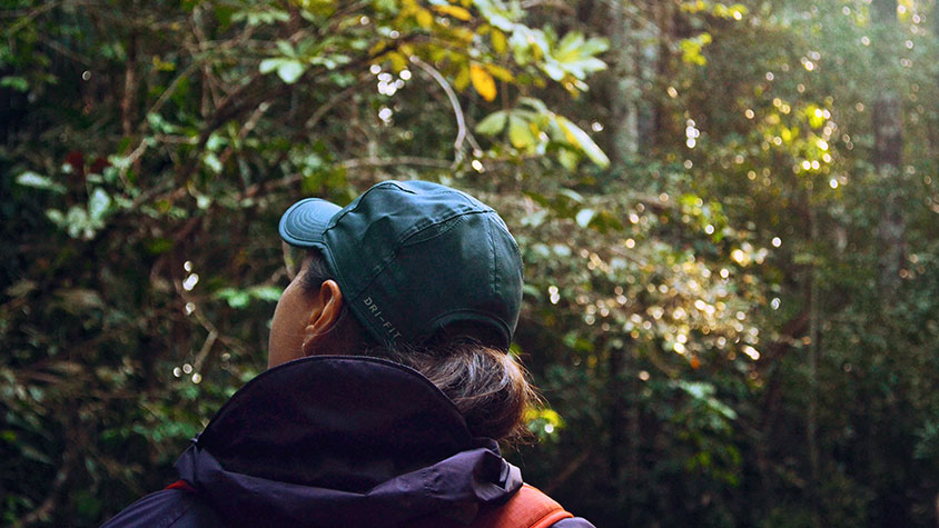 A lady wondering though the Peruvian rainforest